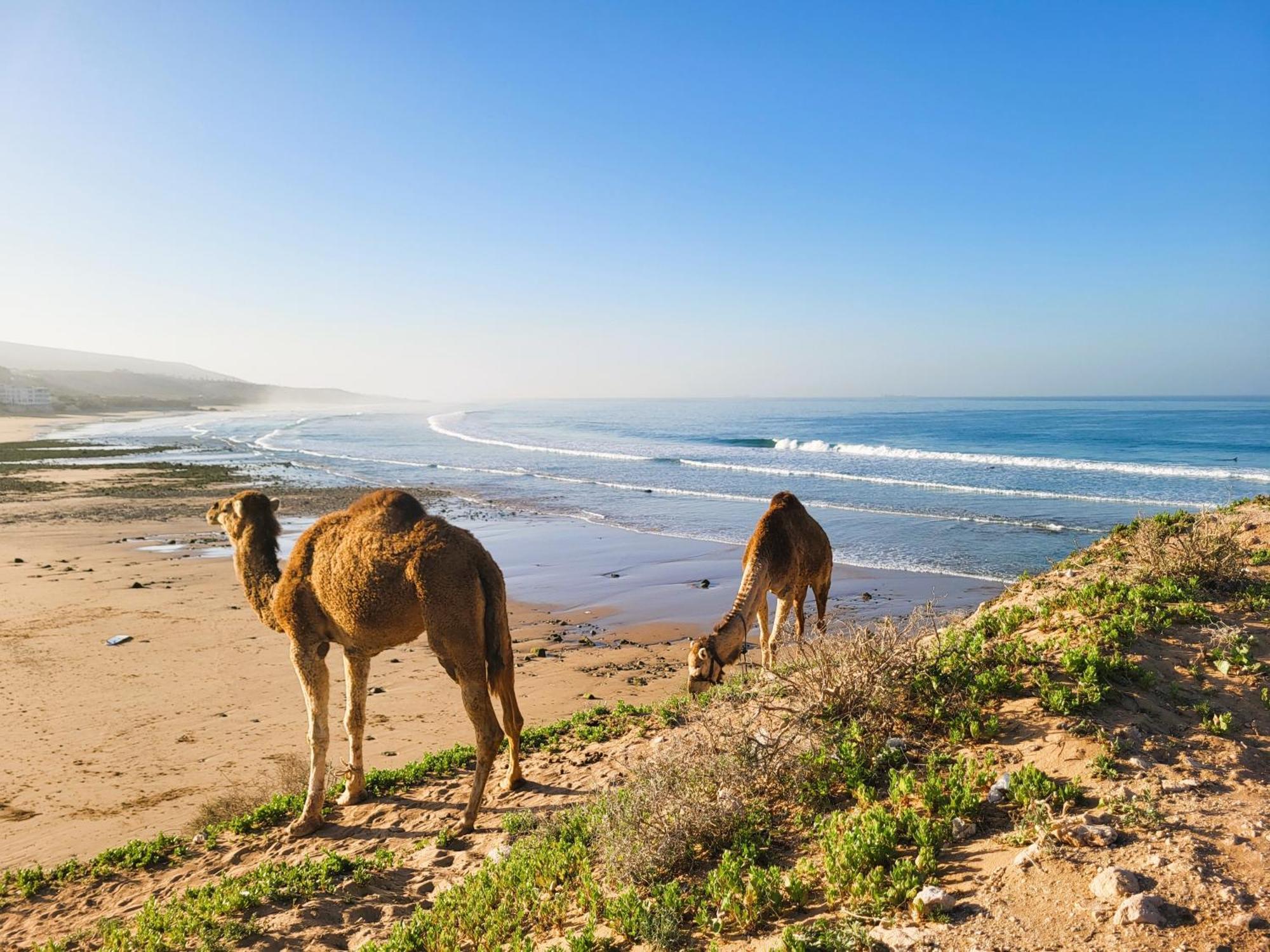 Casa Janoub Morocco Hotel Tamraght Екстериор снимка
